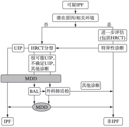 鐘南山-肺-肺康復(fù)-特發(fā)性肺纖維化-肺炎-間質(zhì)性肺炎-間質(zhì)性肺纖維化-IPF-AE-IPF-HRCT-GGO