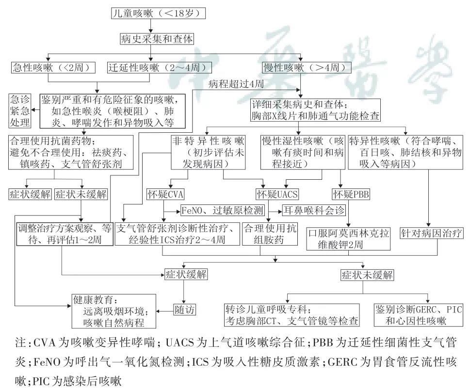 咳嗽-診療-指南-兒童-共識(shí)-肺通氣功能-檢查-咳嗽變異性哮喘-哮喘-支氣管擴(kuò)張-上氣道咳嗽綜合征-吸入性糖皮質(zhì)激素